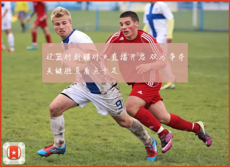 辽篮对新疆对决直播开启 双方争夺关键胜负看点十足