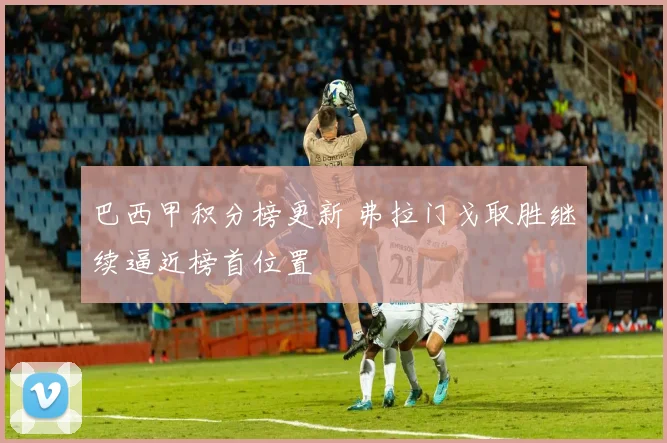 巴西甲积分榜更新 弗拉门戈取胜继续逼近榜首位置
