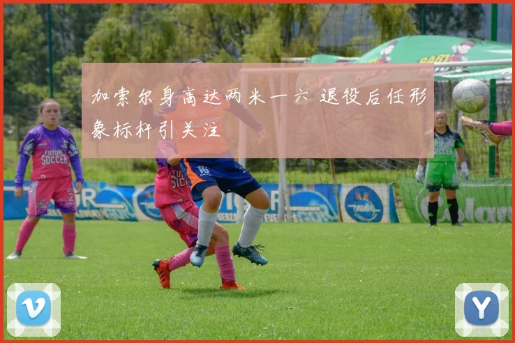 加索尔身高达两米一六 退役后任形象标杆引关注